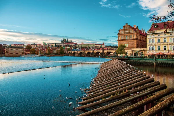 Панорамный Вид Пражский Град Через Влтаву Чехия — стоковое фото