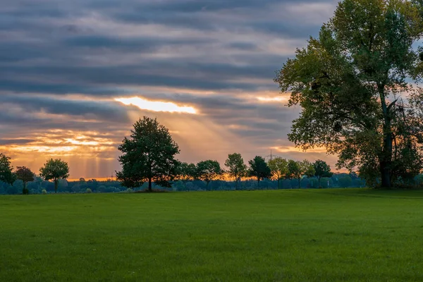 Sonbaharda doğa rezervlerinin panoramik görünümü. 