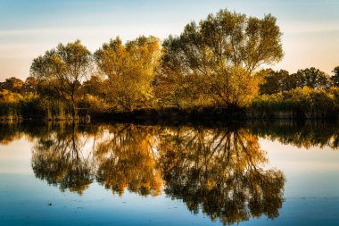 Göl kenarında renkli sonbahar ağaçlar