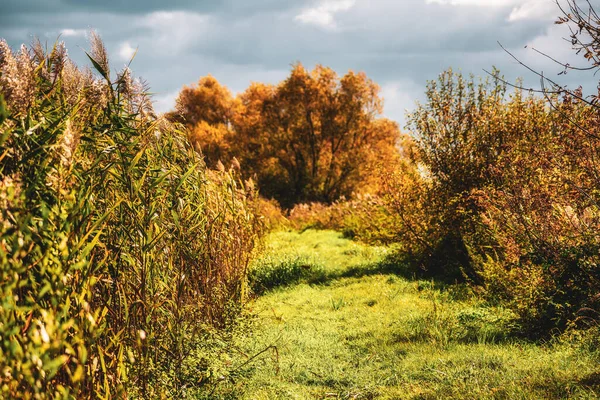 Colorful Autumn Trees Country Lane — Stockfoto