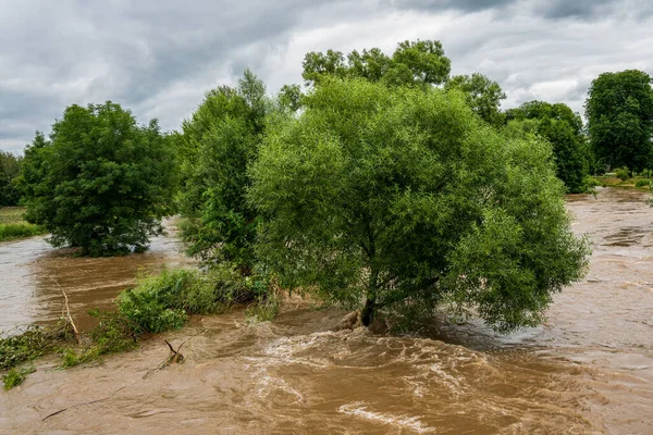 Threatening Flood Wupper Leverkusen Germany — 스톡 사진