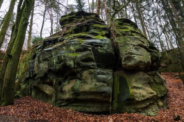 Almanya 'daki Şeytan Kanyonu' nda kaya oluşumları.