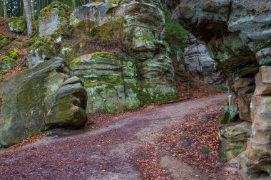 Almanya 'daki Şeytan Kanyonu' nda kaya oluşumları.