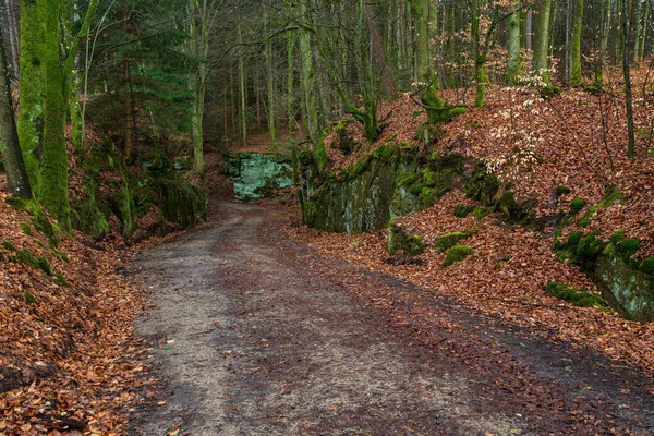 Formazioni Rocciose Nel Devil Canyon Germania — Foto Stock