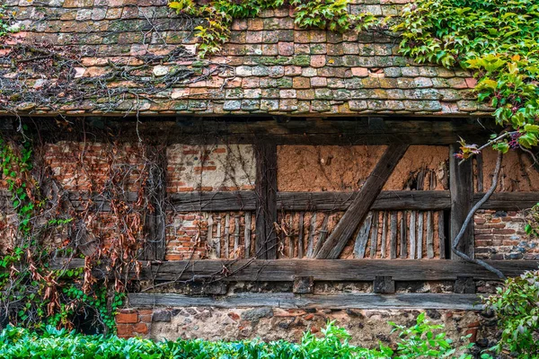 Сухий Плющ Старому Фасаді Будинку Ельзас Франція — стокове фото