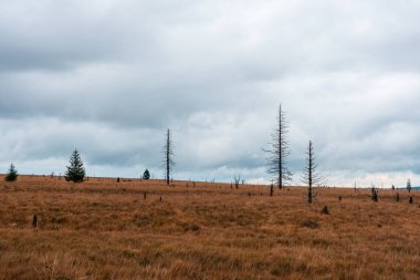 Belçika 'nın sonbaharda High Fens Panoraması