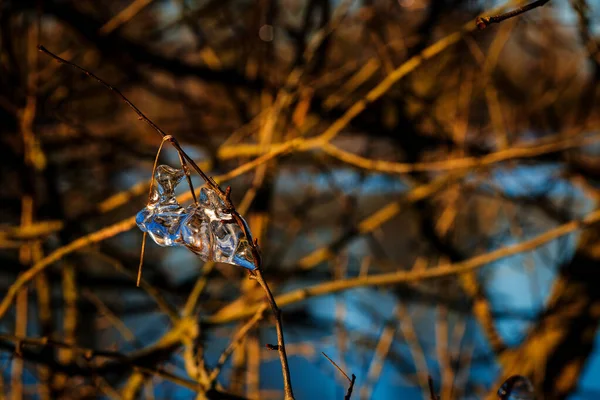 Eiszapfen Mit Sonnenstrahlen Beleuchtet — Stockfoto