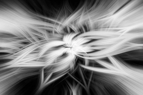 黒と白の抽象的な渦 — ストック写真