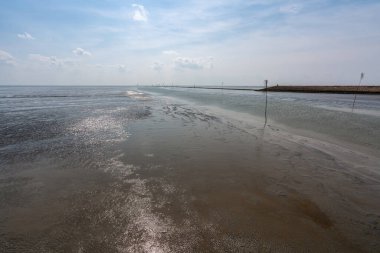 Juist Almanya Adası