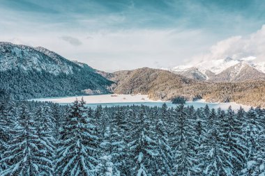 Alplerdeki karlı dağlar ve ağaçlar. Eibsee Gölü manzarası. Almanya.