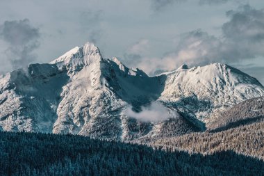 Almanya 'nın Bavyera Alplerinde kış manzarası.