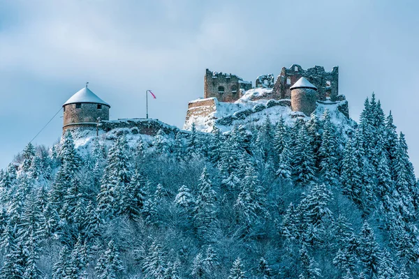 Вид Средневековый Замок Руин Фаберже Австрии Зимний Пейзаж — стоковое фото