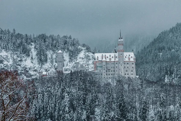 Panoramiczny Widok Zamek Neuschwanstein Zimą Niemcy — Zdjęcie stockowe