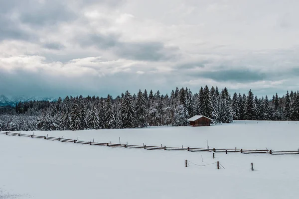 Paisaje Invernal Los Alpes Bávaros Alemania —  Fotos de Stock