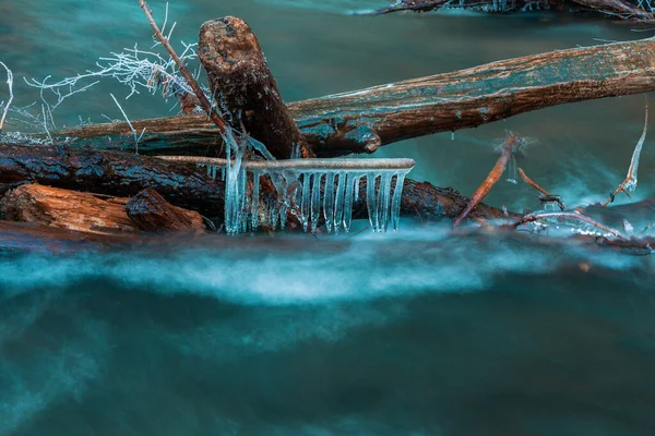 Řeka Lese Zimě — Stock fotografie