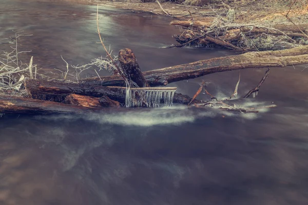Ormanda Kış Nehir — Stok fotoğraf