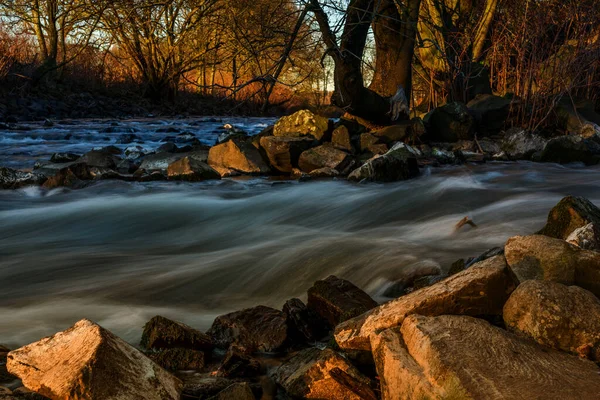 Fluss Wald Herbst — Stockfoto