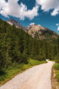 Dolomitlerdeki orman yolu, Fischlein vadisi..