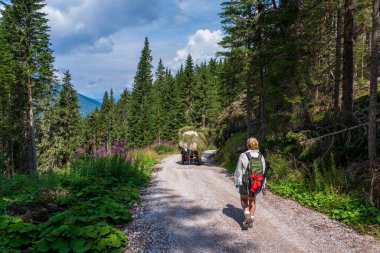 Dolomitler 'de dağ yürüyüşü, İtalya