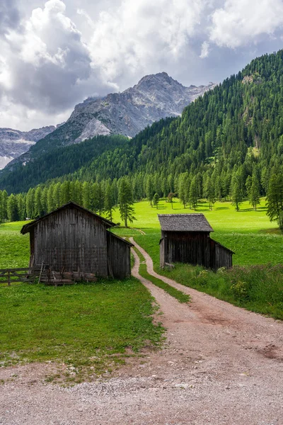 Caminho Florestal Nas Dolomitas Val Fiscalina — Fotografia de Stock