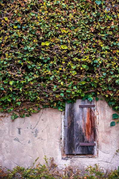 Portas Madeira Velhas Uma Casa Velha Tirol Sul — Fotografia de Stock