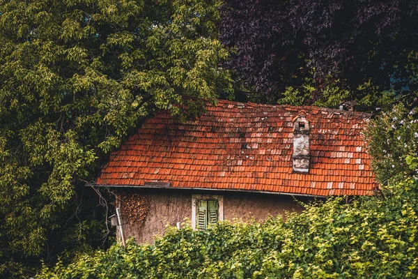 森の古い台無しにされた家 — ストック写真