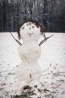 Ormandaki GORGEOUS SNOWMAN