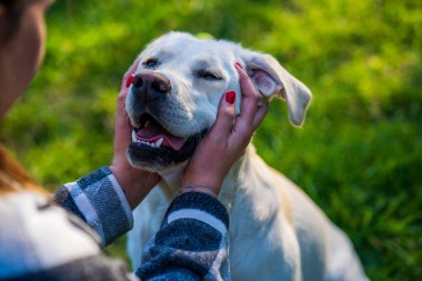 kadın ile köpek oynama
