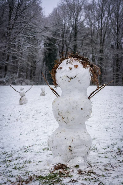 Ormandaki GORGEOUS SNOWMAN