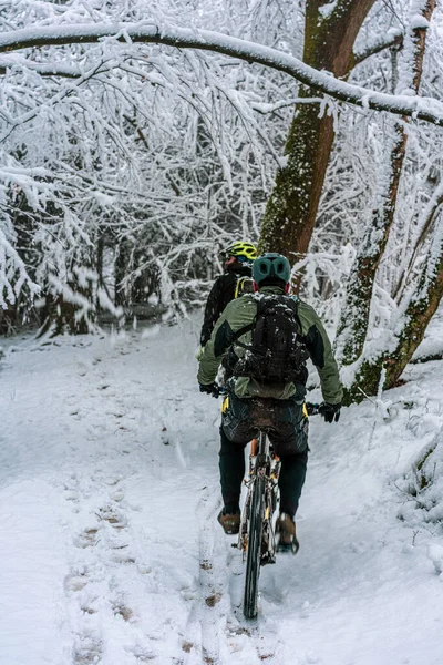 Men Mountain Bikes Snow Covered Forest — Stock Photo, Image