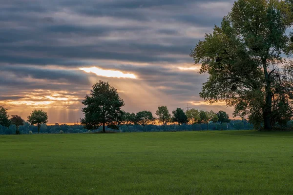 Vue Panoramique Sur Réserve Naturelle Automne — Photo