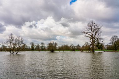 Düsseldorf yakınlarındaki Ren Nehri 'ni sel bastı.