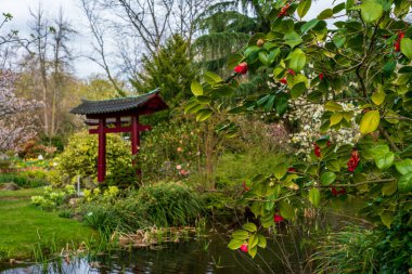 Japon bahçesinde bahar geldi.