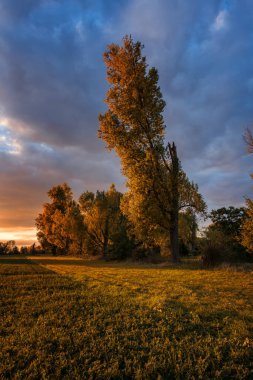 Sonbaharda gün batımında park yolu