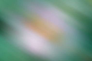 Bulanık arkaplan, bulanık arkaplan efekti.