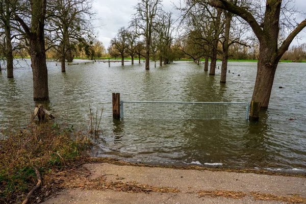 Naturschutzgebiet Bei Düsseldorf Unter Wasser Deutschland — Stockfoto