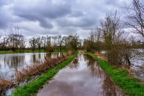 Overstroming Rijn Bij Düsseldorf — Stockfoto