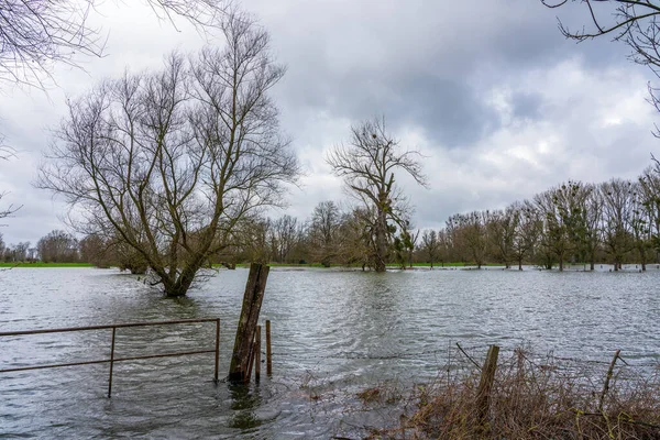 Hochwasser Rhein Bei Düsseldorf — Stockfoto