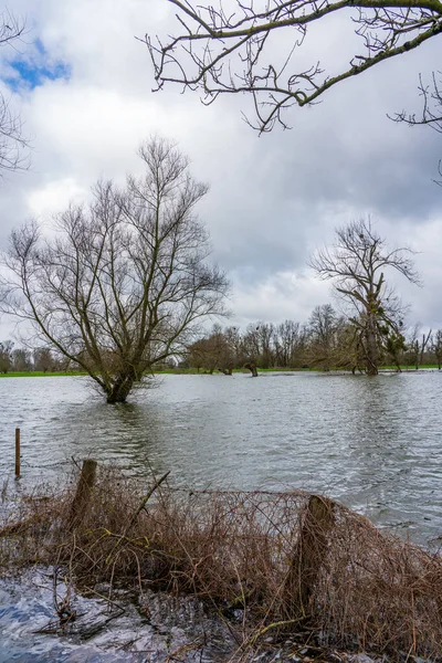 Powódź Renie Koło Dusseldorfu — Zdjęcie stockowe