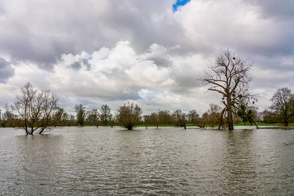 Overstroming Rijn Bij Düsseldorf — Stockfoto