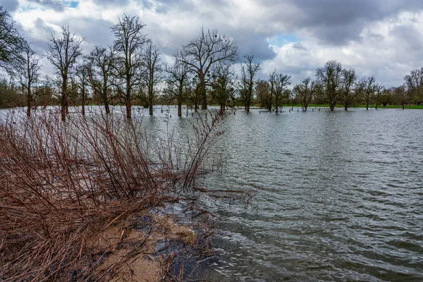 Overstroming Rijn Bij Düsseldorf — Stockfoto