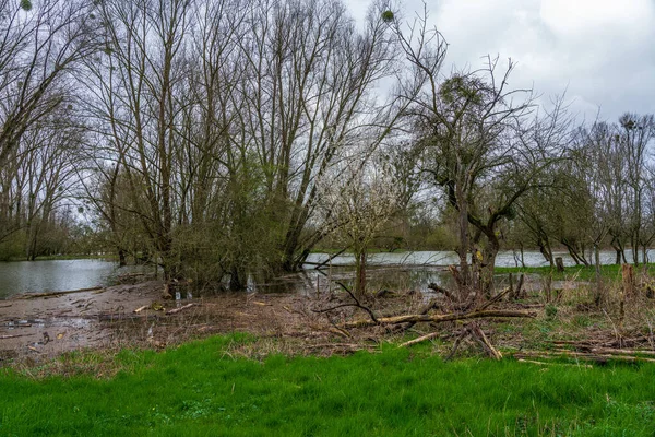 デュッセルドルフ付近のライン川の洪水 — ストック写真