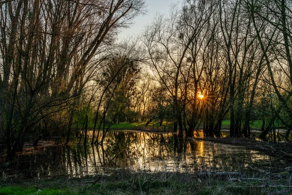 ドイツ デュッセルドルフの日没時の氾濫原 — ストック写真