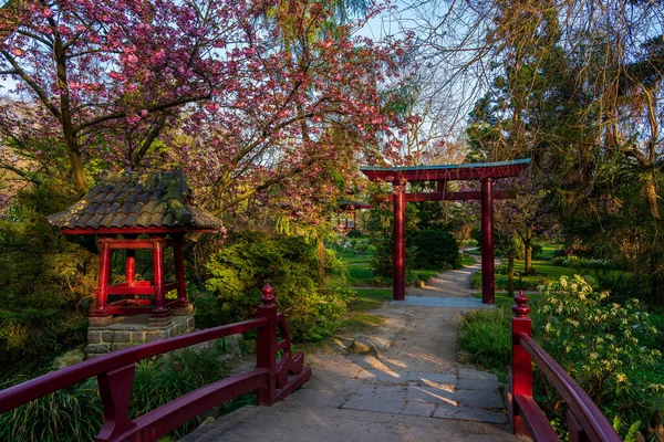 Japon bahçesinde bahar geldi.