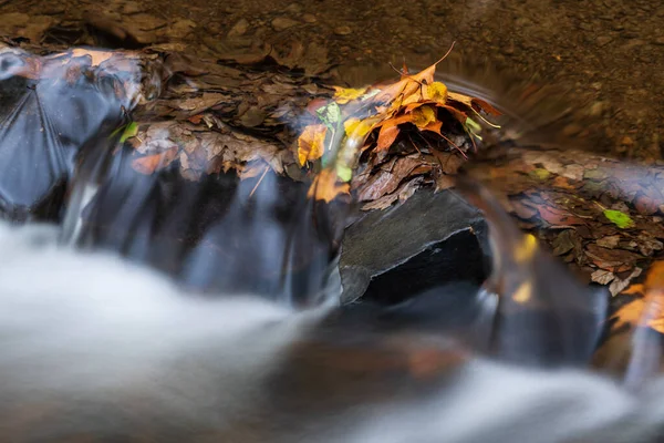 Fluss Wald Herbst — Stockfoto