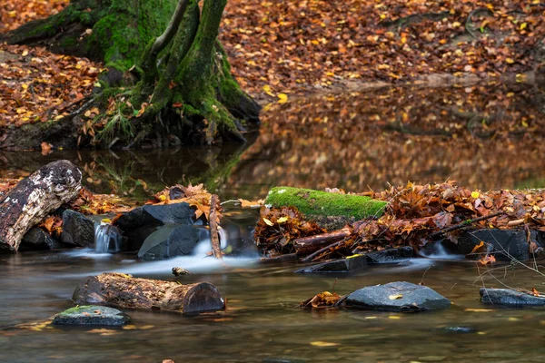 Fiume Nei Boschi Autunno — Foto Stock