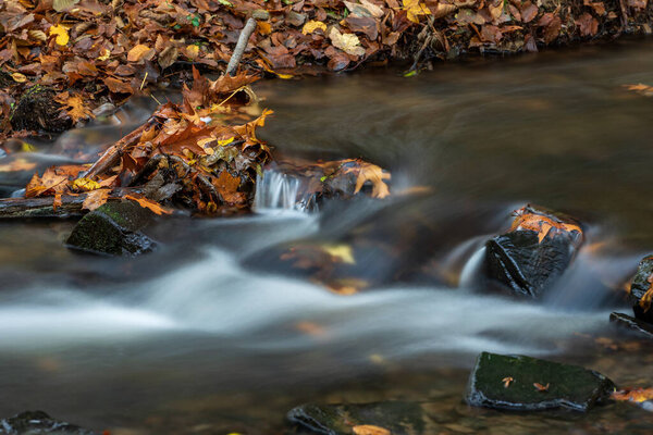 Река в лесу осенью