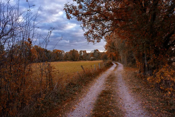 Vuile Weg Het Najaar — Stockfoto