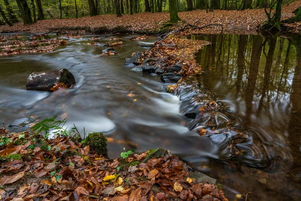 Podzim Parku — Stock fotografie