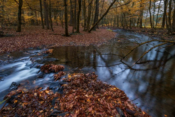 Восени Річка Лісі — стокове фото